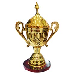 1720489017-h-250-trophy big 300x300 32.jpg